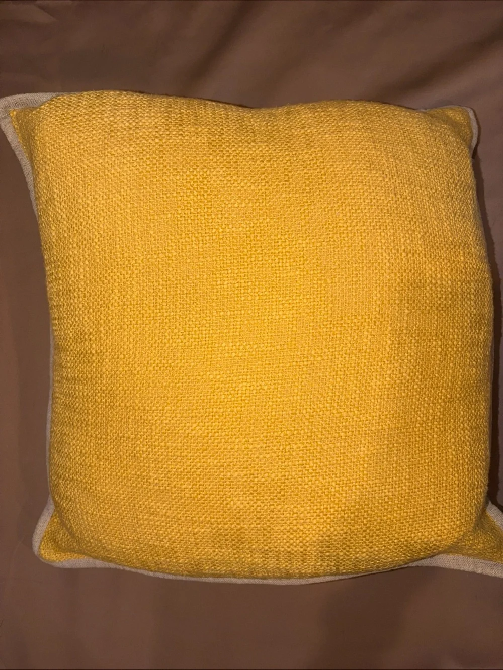 Pottery Barn Throw Pillow Cotton Yellow Duck 20x20